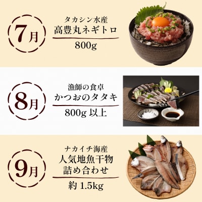 【定期便 12回】室戸まるごと定期便 人気の品12か月お届けコース