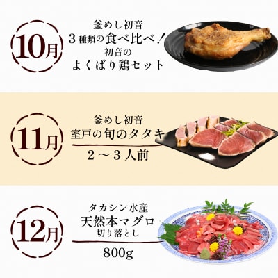 【定期便 12回】室戸まるごと定期便 人気の品12か月お届けコース