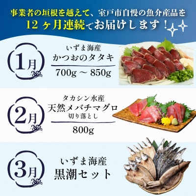 【定期便 12回】室戸まるごと定期便 海鮮コース