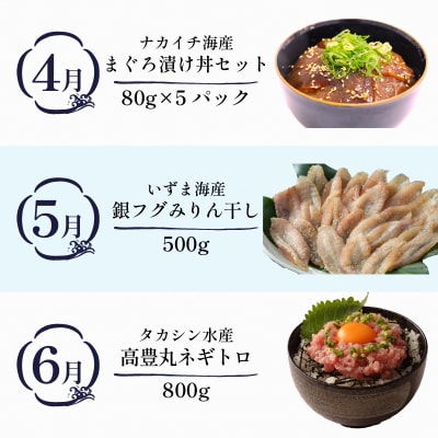 【年末限定・定期便12回】室戸の人気海鮮お楽しみ かつおのたたきやネギトロ詰め合わせ定期便