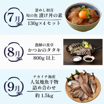 【定期便 12回】室戸まるごと定期便 海鮮コース