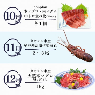 【定期便 12回】室戸まるごと定期便 海鮮コース