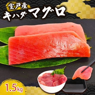 天然キハダマグロ 1.5kg 刺身用柵 赤身 刺身 室戸市産