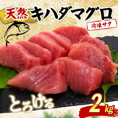 天然キハダマグロ 2kg 刺身用柵 赤身 刺身 室戸市産