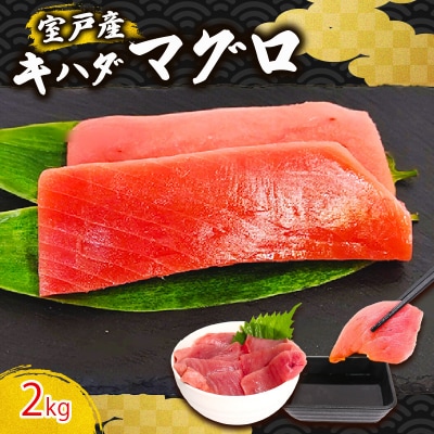 天然キハダマグロ 2kg 刺身用柵 赤身 刺身 室戸市産