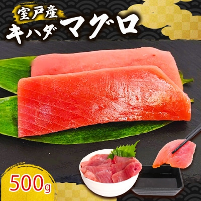 天然キハダマグロ 500g 刺身用柵 赤身 刺身 室戸市産