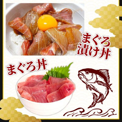 天然キハダマグロ 1kg 刺身用柵 赤身 刺身 室戸市産