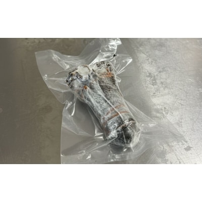 伊勢海老 冷凍 1kg 凍眠冷凍 