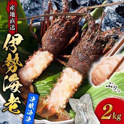 伊勢海老 冷凍 2kg 凍眠冷凍 