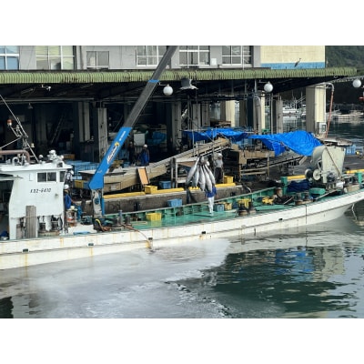 伊勢海老 冷凍 2kg 冬眠冷凍 