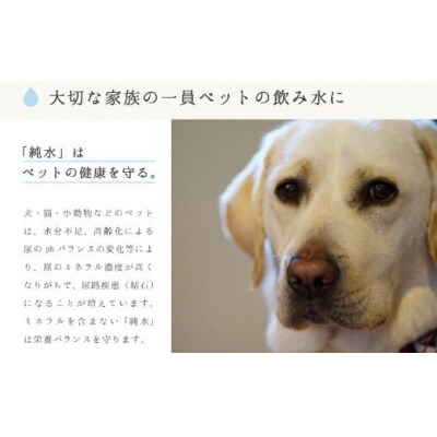 【 定期便 3回 】 純水 20L ✕ 1箱 硬度0 硬度ゼロ 20リットル