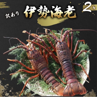 �y�󂠂�z�� �ɐ��C�V �󂠂� 2kg(5���`7��+�^�r�G�r) �①