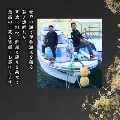 伊勢海老 1kg(3尾～5尾+タビエビ) 冷蔵