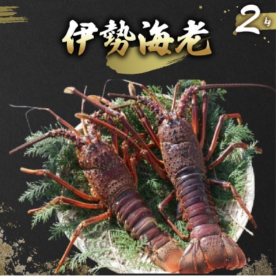 �ɐ��C�V 2kg(5���`7��+�^�r�G�r) �①