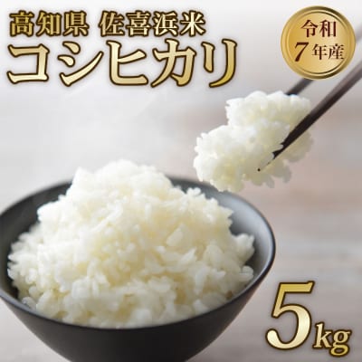 米 5kg 令和7年度産 コシヒカリ こしひかり