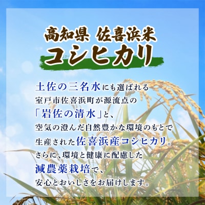米 5kg 令和7年度産 コシヒカリ こしひかり