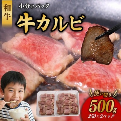 和牛 カルビ 500g 牛肉 焼肉