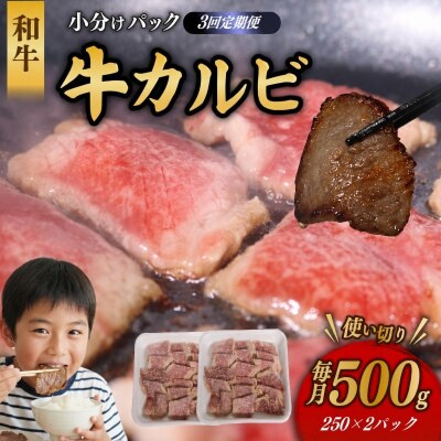 【3回定期便】 和牛 カルビ 500g 牛肉 焼肉