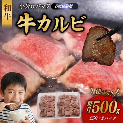 【6回定期便】 和牛 カルビ 500g 牛肉 焼肉