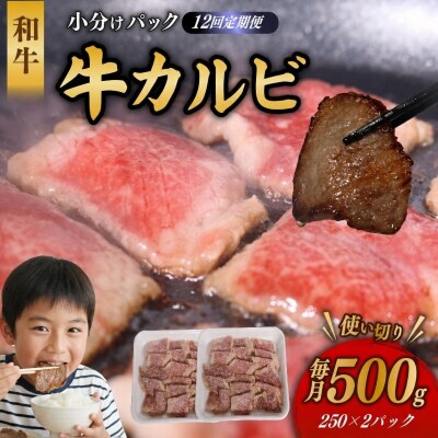 【12回定期便】 和牛 カルビ 500g 牛肉 焼肉