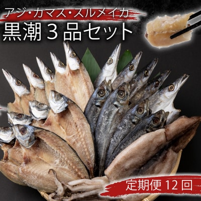 【定期便 毎月12回】 干物 黒潮セット (アジ・カマス・スルメイカ)詰め合わせセット