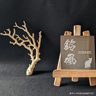 室戸産サンゴ原木 約83g(22匁) 白珊瑚