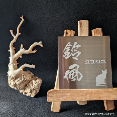 室戸産サンゴ原木 約171g(46匁) 白珊瑚