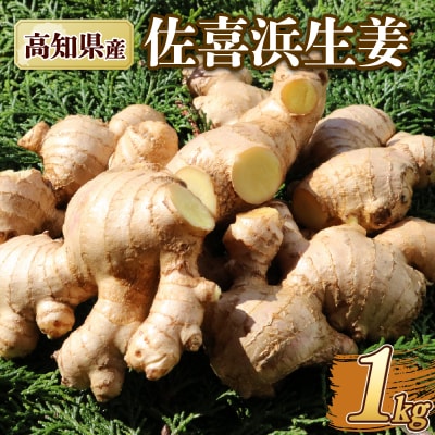国産 佐喜浜生姜 約1kg