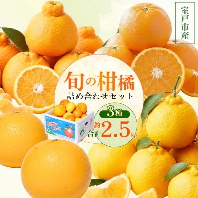 【旬の柑橘類詰め合わせ 2.5㎏】訳あり ポンカン せとか 不知火 等獲れたて柑橘系 家庭用
