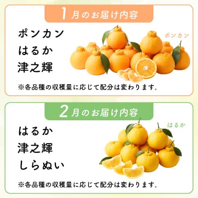 【旬の柑橘類詰め合わせ 2.5㎏】訳あり ポンカン せとか 不知火 等獲れたて柑橘系 家庭用