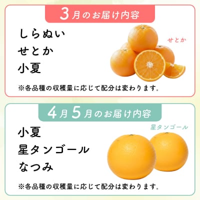 【旬の柑橘類詰め合わせ 2.5㎏】訳あり ポンカン せとか 不知火 等獲れたて柑橘系 家庭用