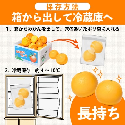 【旬の柑橘類詰め合わせ 2.5㎏】訳あり ポンカン せとか 不知火 等獲れたて柑橘系 家庭用