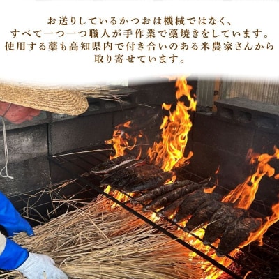 【年6回偶数定期便】かつおのたたき2節(1節400g～460g)　室戸海洋深層水の塩付き