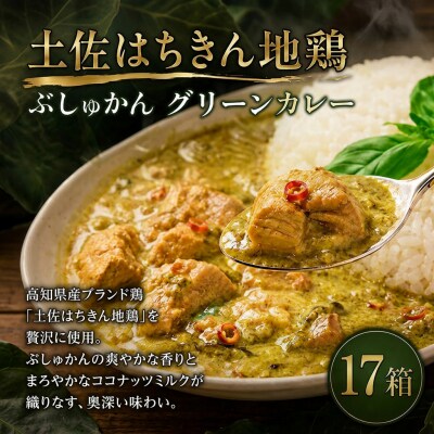ぶしゅかんグリーンカレー17食セット 