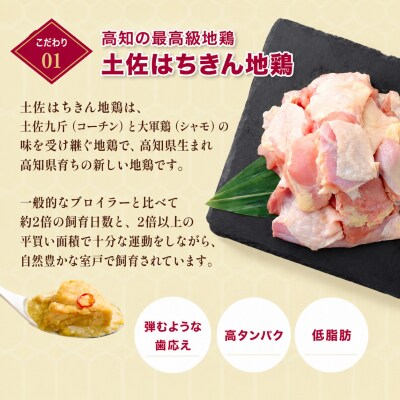 ぶしゅかんグリーンカレー17食セット 