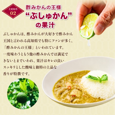ぶしゅかんグリーンカレー15食セット 
