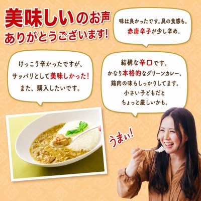 ぶしゅかんグリーンカレー15食セット 