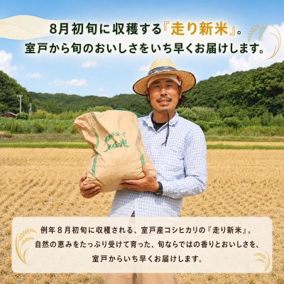 【指定日配送OK!】令和8年産とれたて新米コシヒカリ5kg