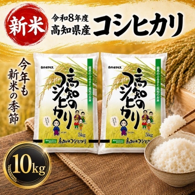 新米 令和8年度 高知県産 コシヒカリ10kg 人気 米 お米 