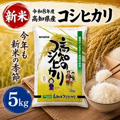 新米 令和8年度 高知県産 コシヒカリ 5kg 人気 米 お米