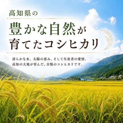 新米 令和8年度 高知県産 コシヒカリ5kg 6回定期便 人気 米 お米