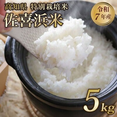 特別栽培米 白米 5kg 令和7年度産 佐喜浜米