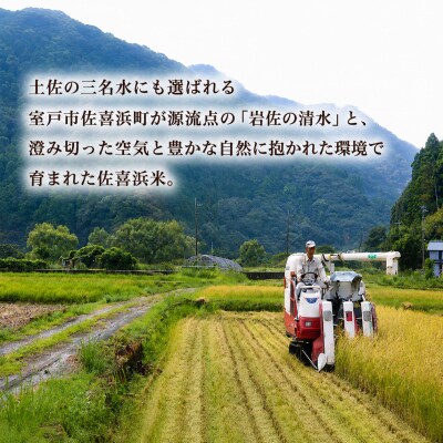 特別栽培米 白米 5kg 令和7年度産 佐喜浜米