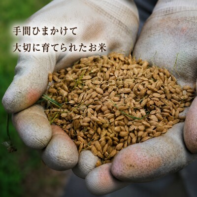 特別栽培米 白米 5kg 令和7年度産 佐喜浜米