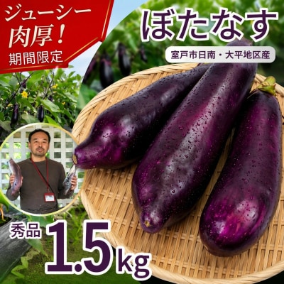 【伝統野菜 ぼたなす 秀品 1.5㎏ 】とろける食感の大きなナス