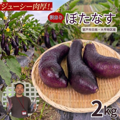 訳アリ品【伝統野菜 ぼたなす 訳あり 2㎏ 】とろける食感の大きなナス