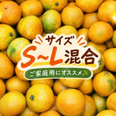 【先行予約】早生みかん 秀品 5kg 甘みとほどよい酸味が特徴の人気のミカン