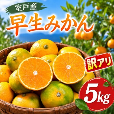 【訳アリ 先行予約】早生みかん 訳あり 5kg 甘みとほどよい酸味が特徴の人気のミカン