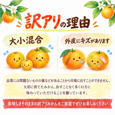 【訳アリ 先行予約】早生みかん 訳あり 5kg 甘みとほどよい酸味が特徴の人気のミカン