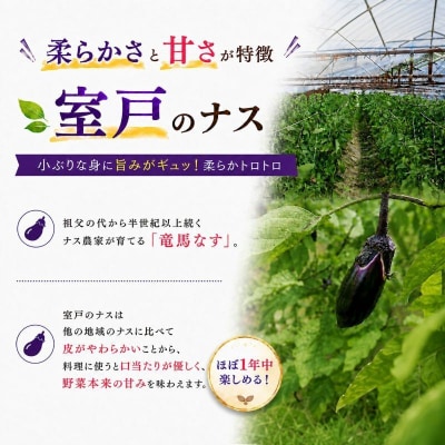 【スピード発送】朝どれナス 1kg 室戸の茄子「竜馬」を新鮮なまま産直お届け
